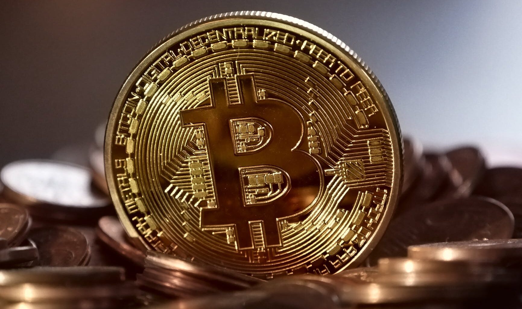 close up view of a golden coin